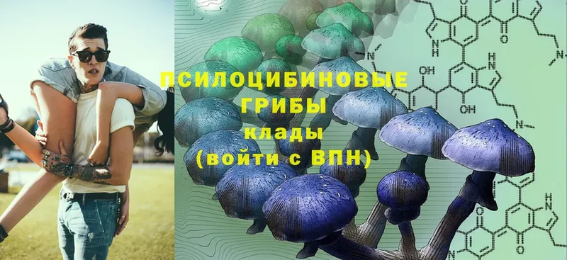 Галлюциногенные грибы Magic Shrooms  Высоковск 